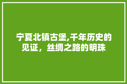 宁夏北镇古堡,千年历史的见证，丝绸之路的明珠