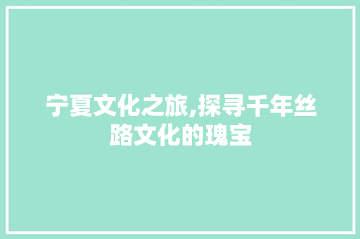 宁夏文化之旅,探寻千年丝路文化的瑰宝