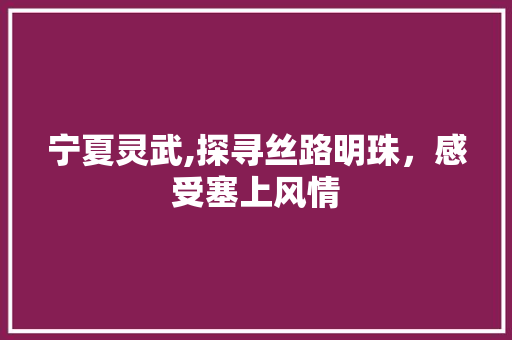 宁夏灵武,探寻丝路明珠，感受塞上风情