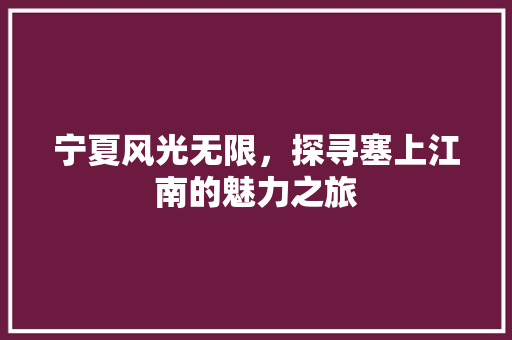 宁夏风光无限，探寻塞上江南的魅力之旅