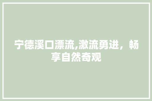 宁德溪口漂流,激流勇进，畅享自然奇观