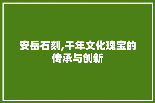 安岳石刻,千年文化瑰宝的传承与创新