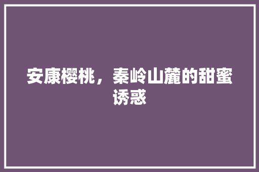 安康樱桃，秦岭山麓的甜蜜诱惑