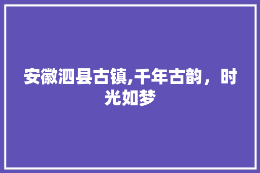 安徽泗县古镇,千年古韵，时光如梦