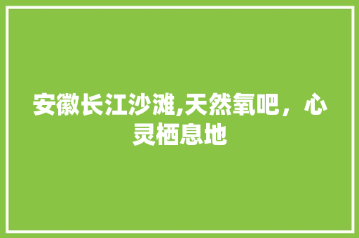 安徽长江沙滩,天然氧吧，心灵栖息地