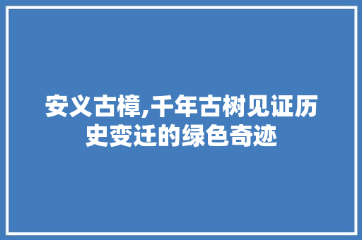 安义古樟,千年古树见证历史变迁的绿色奇迹