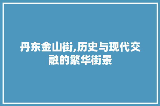 丹东金山街,历史与现代交融的繁华街景