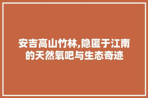 安吉高山竹林,隐匿于江南的天然氧吧与生态奇迹