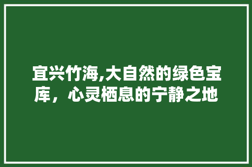 宜兴竹海,大自然的绿色宝库，心灵栖息的宁静之地