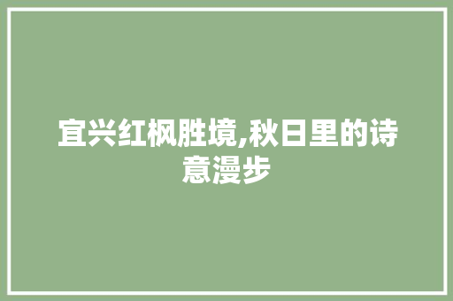 宜兴红枫胜境,秋日里的诗意漫步