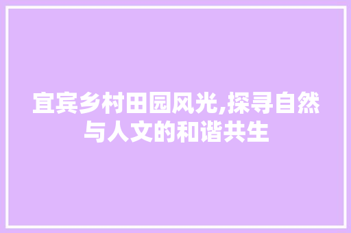 宜宾乡村田园风光,探寻自然与人文的和谐共生