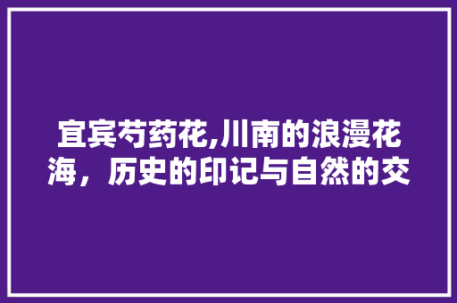 宜宾芍药花,川南的浪漫花海，历史的印记与自然的交融