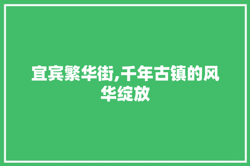 宜宾繁华街,千年古镇的风华绽放