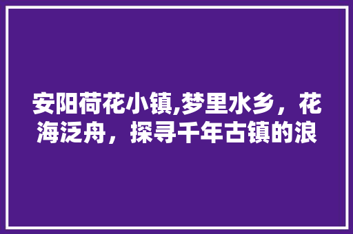 安阳荷花小镇,梦里水乡，花海泛舟，探寻千年古镇的浪漫风情