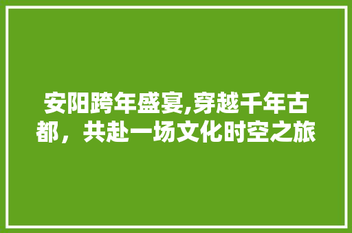 安阳跨年盛宴,穿越千年古都，共赴一场文化时空之旅