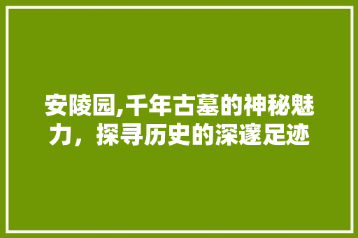 安陵园,千年古墓的神秘魅力，探寻历史的深邃足迹