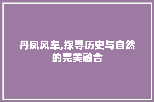 丹凤风车,探寻历史与自然的完美融合