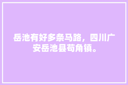 岳池有好多条马路，四川广安岳池县苟角镇。