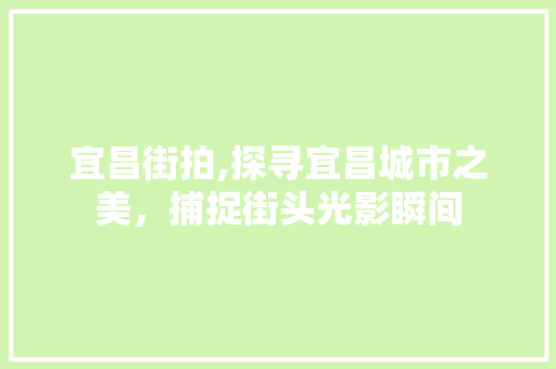 宜昌街拍,探寻宜昌城市之美，捕捉街头光影瞬间