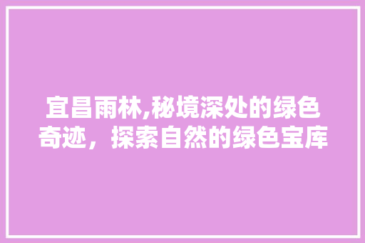 宜昌雨林,秘境深处的绿色奇迹，探索自然的绿色宝库