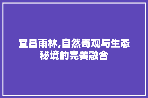 宜昌雨林,自然奇观与生态秘境的完美融合