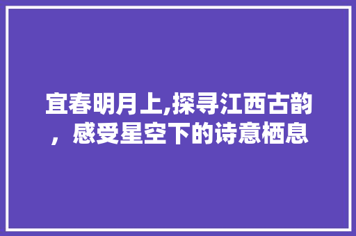 宜春明月上,探寻江西古韵，感受星空下的诗意栖息