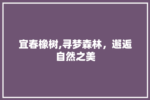 宜春橡树,寻梦森林，邂逅自然之美