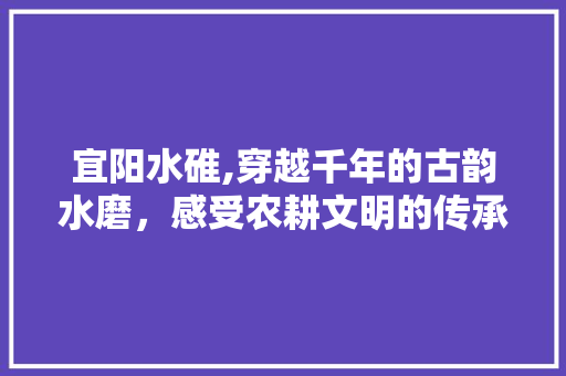 宜阳水碓,穿越千年的古韵水磨，感受农耕文明的传承与发展