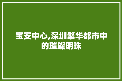 宝安中心,深圳繁华都市中的璀璨明珠