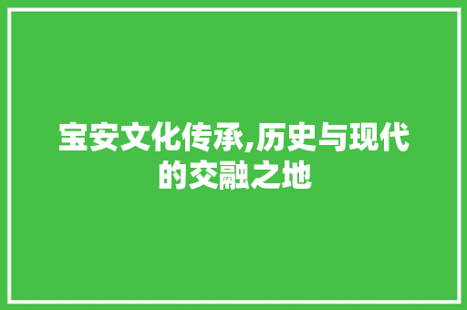 宝安文化传承,历史与现代的交融之地