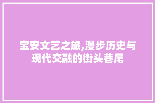 宝安文艺之旅,漫步历史与现代交融的街头巷尾