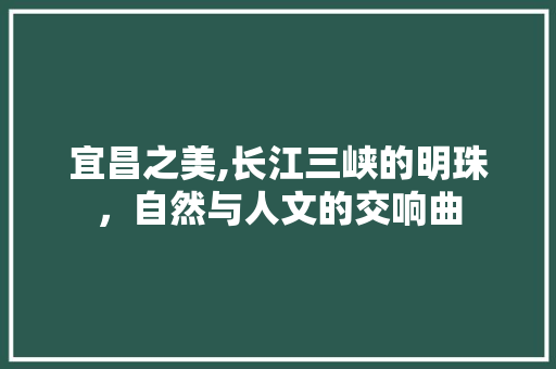 宜昌之美,长江三峡的明珠，自然与人文的交响曲