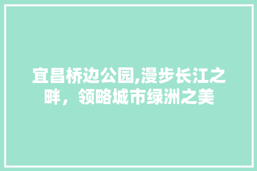 宜昌桥边公园,漫步长江之畔，领略城市绿洲之美