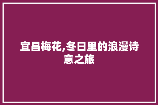 宜昌梅花,冬日里的浪漫诗意之旅