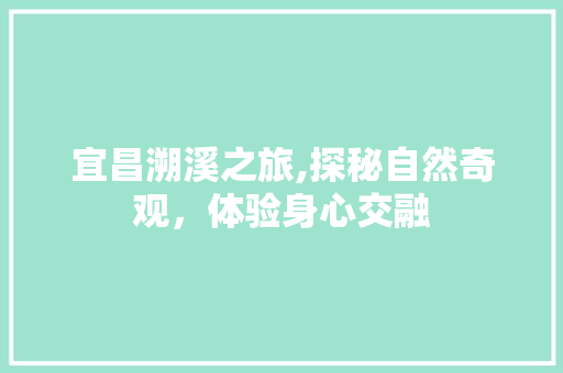 宜昌溯溪之旅,探秘自然奇观，体验身心交融