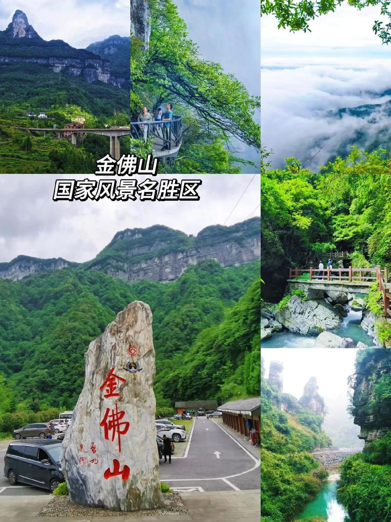 三天时间去哪旅游比较好，夏天金佛山一日游。