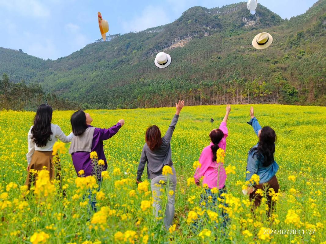 东北春景,踏青赏花，探寻诗意田园生活