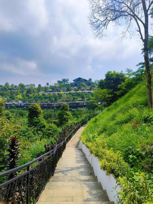 东莞轻轨美景探秘,体验绿色出行，畅游现代都市风情