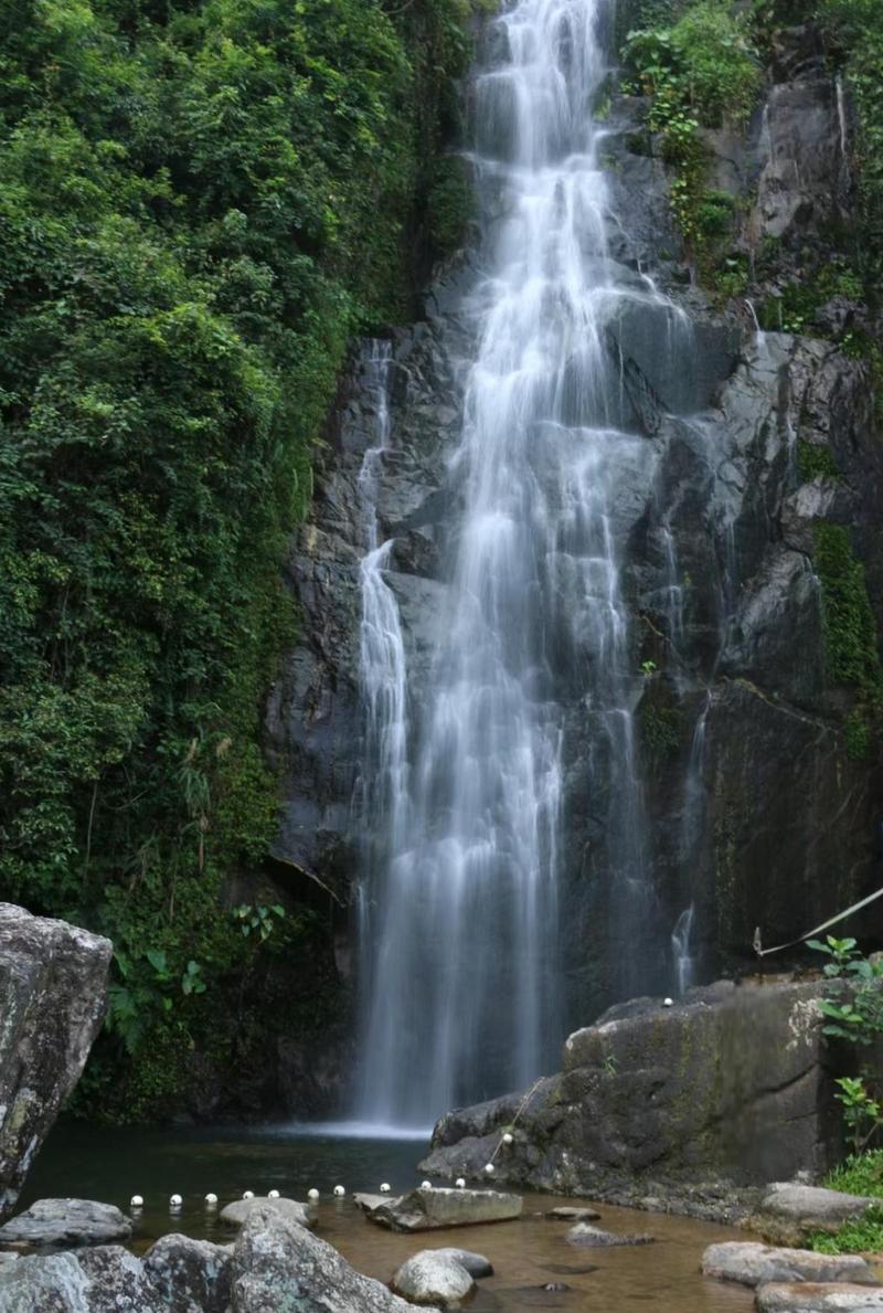 东部花山公园,自然与文化的交融之地  第2张