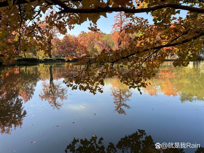 中牟秋游胜地大盘点,走进五彩斑斓的秋季童话世界