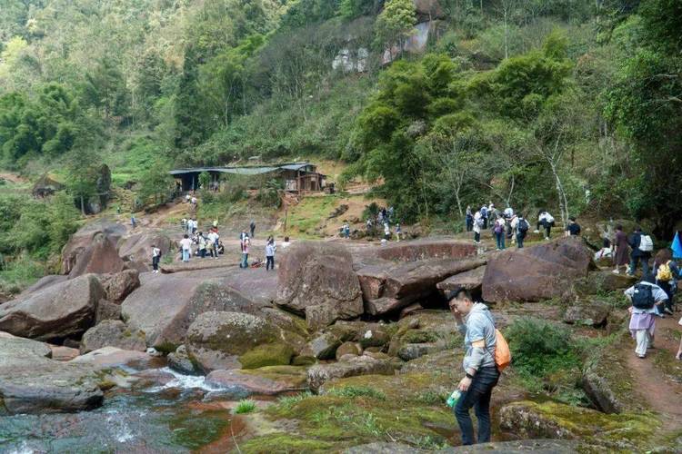 临沧周边徒步之旅,探寻自然之美，感受生命之韵