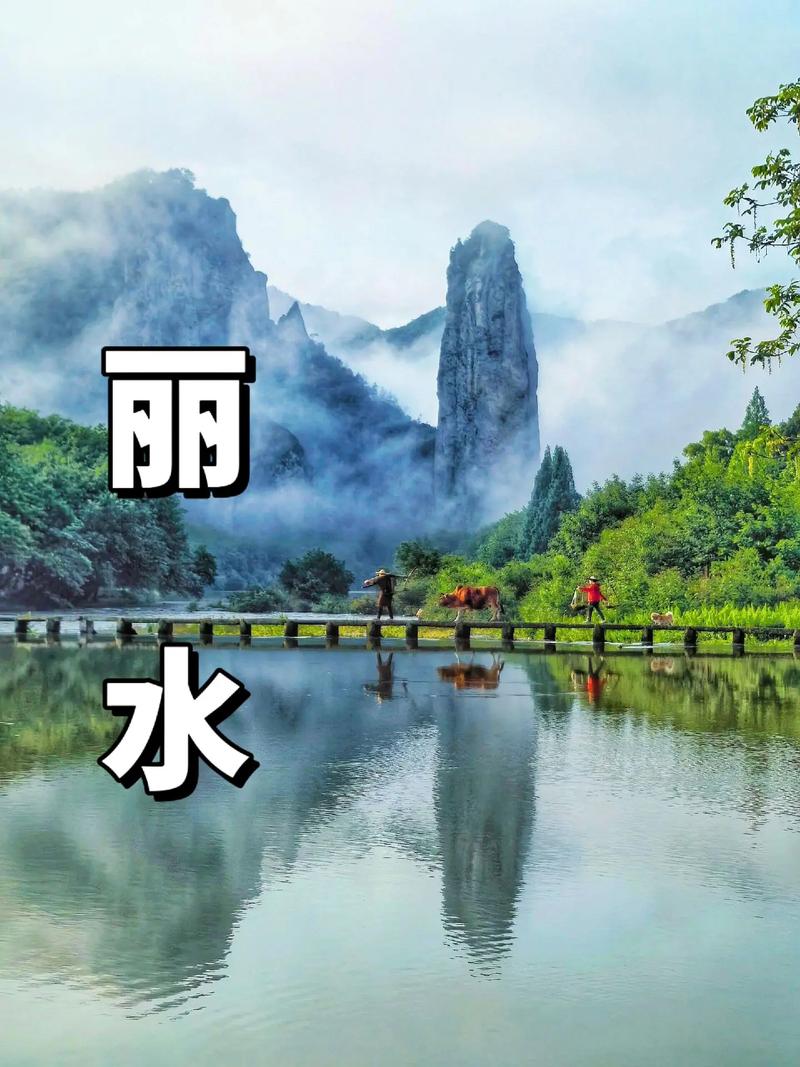 丽水夏季，避暑胜地，畅游自然之美