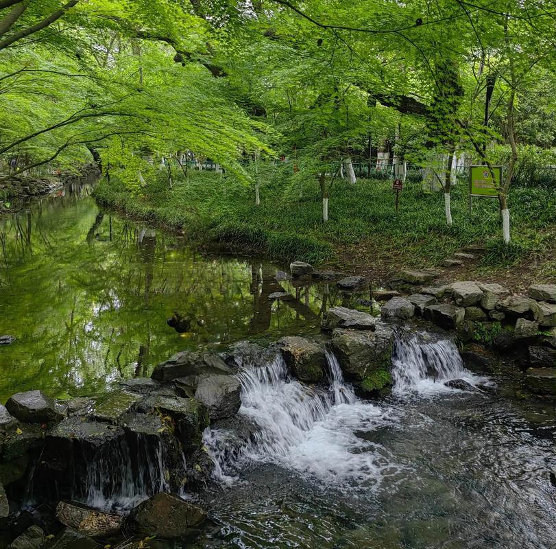 九溪景区,杭州隐秘的自然氧吧，探寻历史的足迹