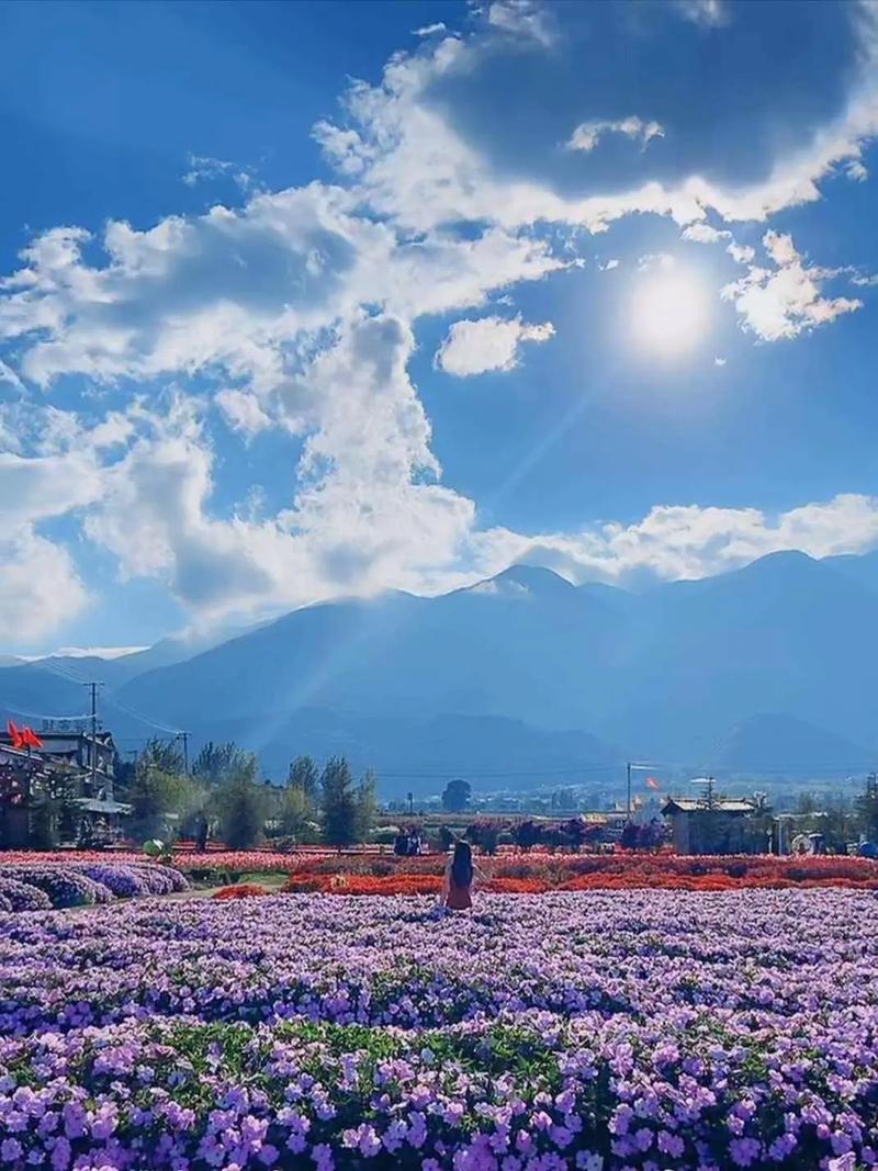 云南之旅,探寻彩云之南的绝美拍照景点