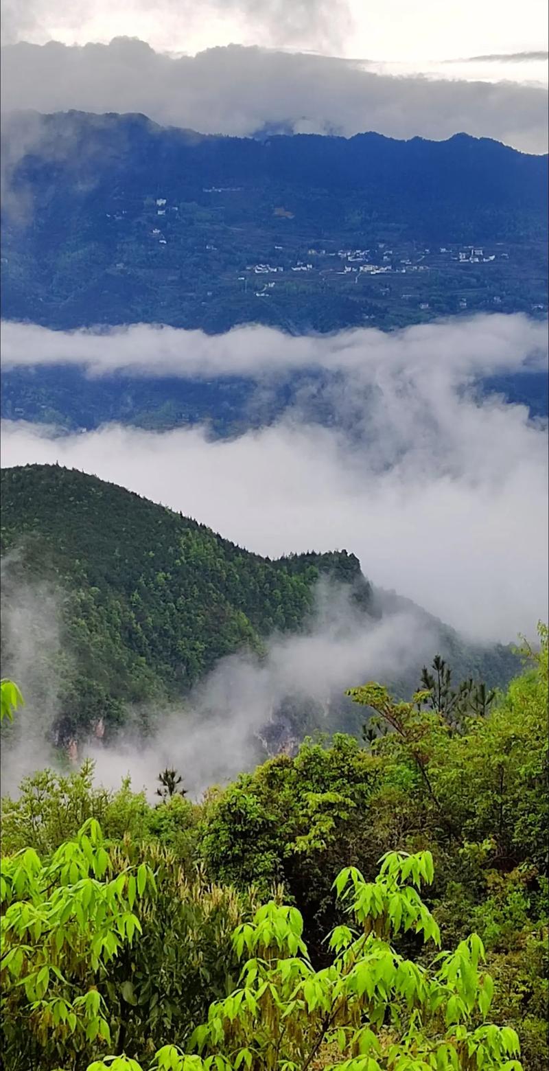 云雾缭绕的高山仙境,探寻自然之美