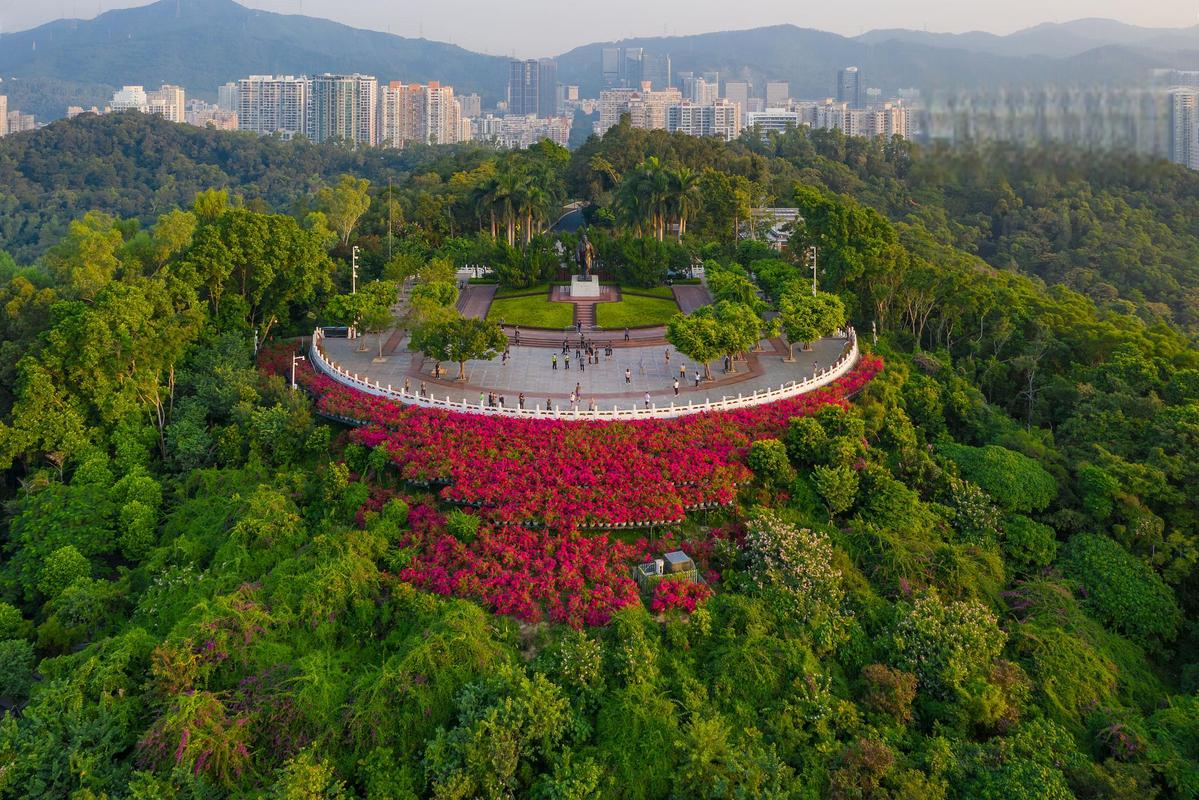 五一假期，深圳景点攻略,探寻这座现代化都市的绿色秘境  第2张