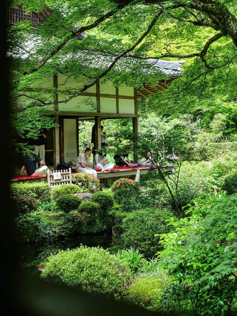 京都三千院,穿越时空的静谧禅意之旅