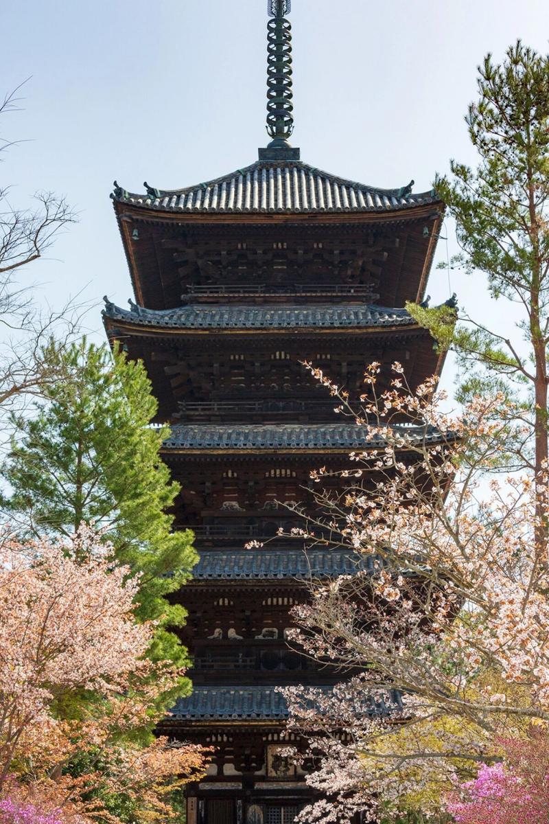 京都东寺周边,探寻千年古都的韵味与风情