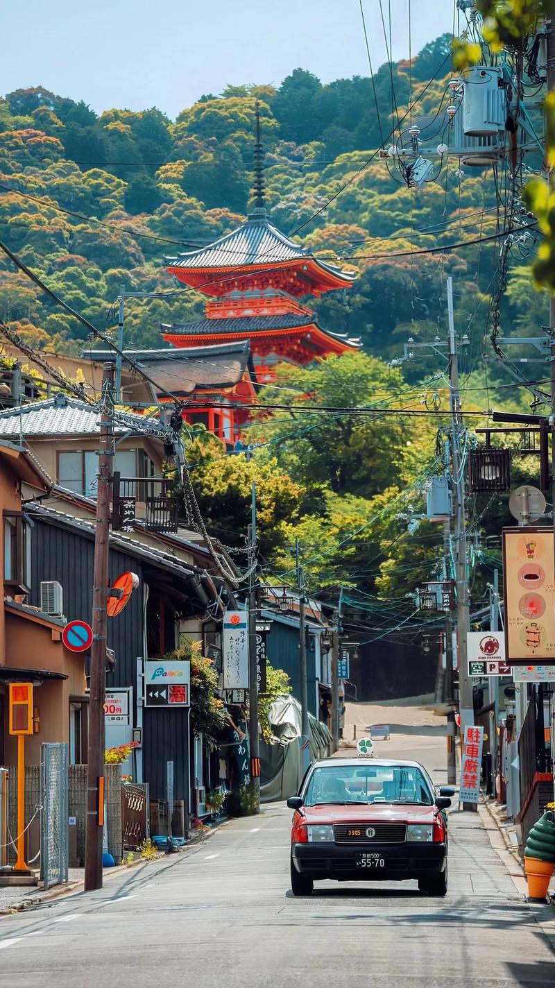 京都古寺区,千年古都的宁静圣地  第2张