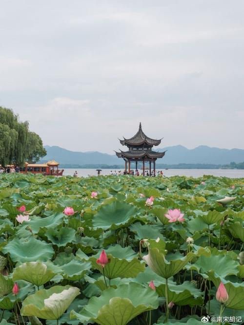 余杭夏日避暑胜地,探寻清凉秘境，感受夏日风情  第2张